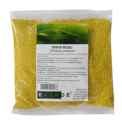 Seminte trifoi rosu Everde, 0.5 kg