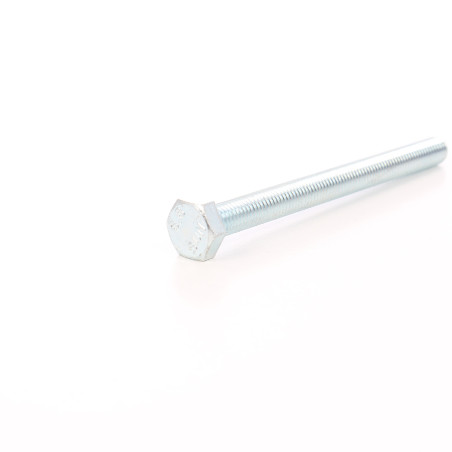 Surub cu cap hexagonal, filetat complet, otel, zincat alb, M10 x 100 mm
