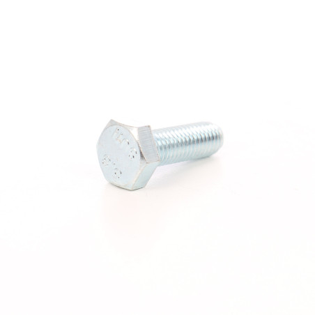 Surub cu cap hexagonal, filetat complet, otel, zincat alb, M10 x 30 mm