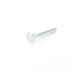 Surub cu cap hexagonal, filetat complet, otel, zincat alb, M10 x 70 mm