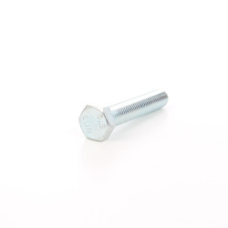 Surub cu cap hexagonal, filetat complet, otel, zincat alb, M14 x 100 mm