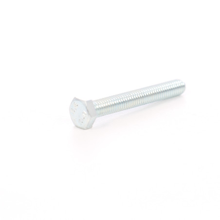 Surub cu cap hexagonal, filetat complet, otel, zincat alb, M6 x 30 mm