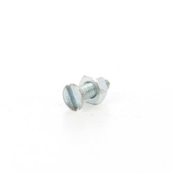 Surub cu cap inecat crestat, cu piulita, otel, zincat alb, M3 x 10 mm, 20 bucati