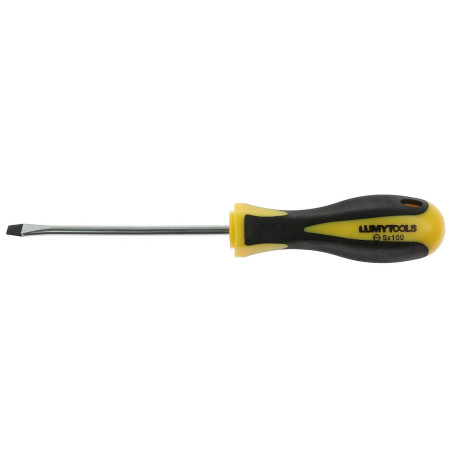 Surubelnita dreapta, Lumytools LT61414, cu varf magnetic, 5 x 100 mm