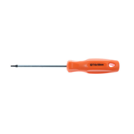 Surubelnita profil Torx, Holzer 538064, TX 10, 100 mm