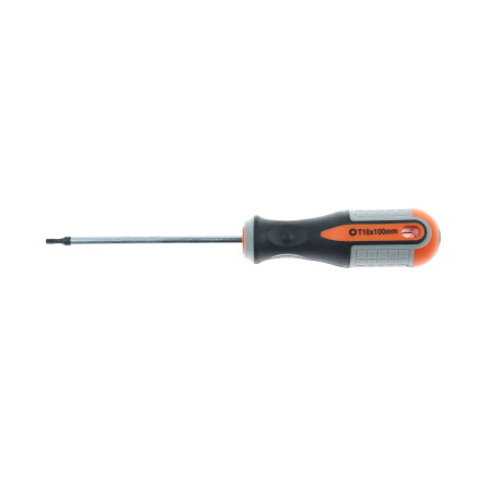 Surubelnita profil Torx, Holzer Profi 372064, TX 10, 100 mm