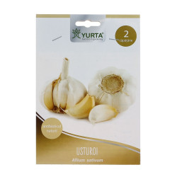 Usturoi alb, Yurta, pentru plantat, 2 capatani