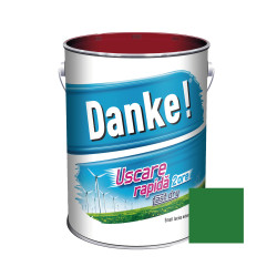 Vopsea alchidica pentru lemn / metal, Danke! Uscare Rapida, interior / exterior, verde deschis, 4 L