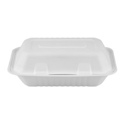 Caserole din trestie de zahar, Biodeck, albe, 23 x 15 cm, set 25 bucati