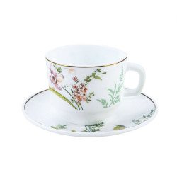 Ceasca si farfurioara 21066G, sticla termica, multicolor, 250 ml